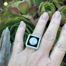 Load image into Gallery viewer, R0173.   Square Pearl Statement Ring
